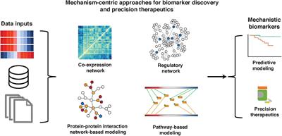 Mechanism-Centric Approaches for Biomarker Detection and Precision Therapeutics in Cancer